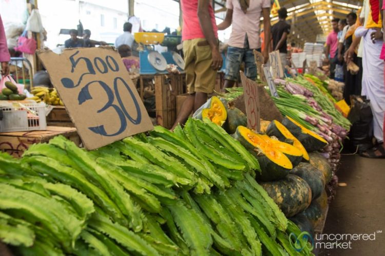 Sri Lanka Travel, markets