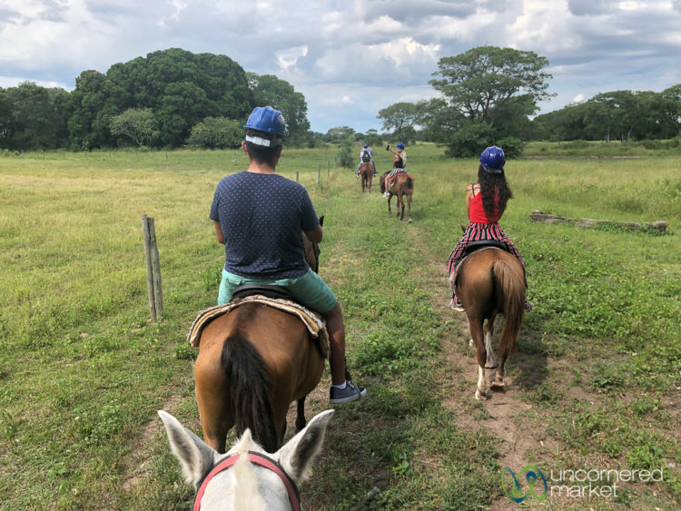 Brazil Tour, Horseback Riding in the Pantanal