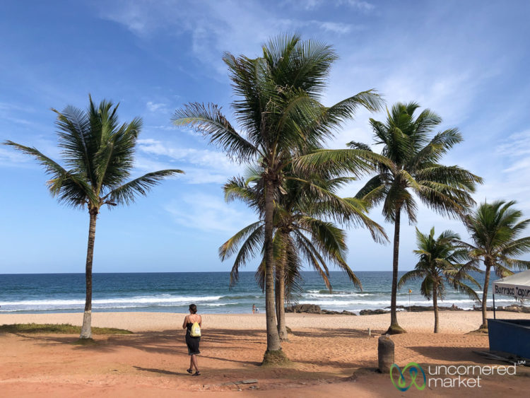Brazil Travel Guide - Stella Maris Beach near Salvador de Bahia