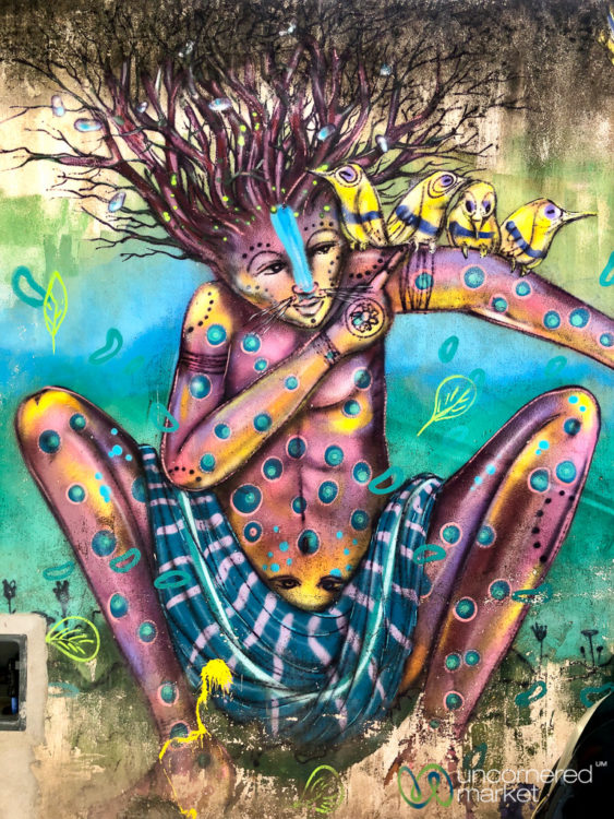Brazil travel guide, colorful street art in Salvador de Bahia
