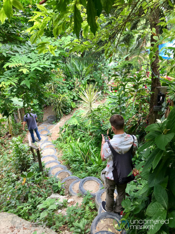 Vidigal Favela Tour Experience with Planeterra and G Adventures - Ecological Park