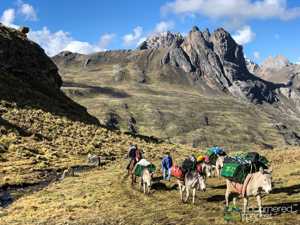 Huayhuash Trek tour, donkeys carrying gear