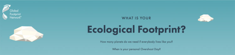 Travel and the Climate Crisis, Ecological Footprint