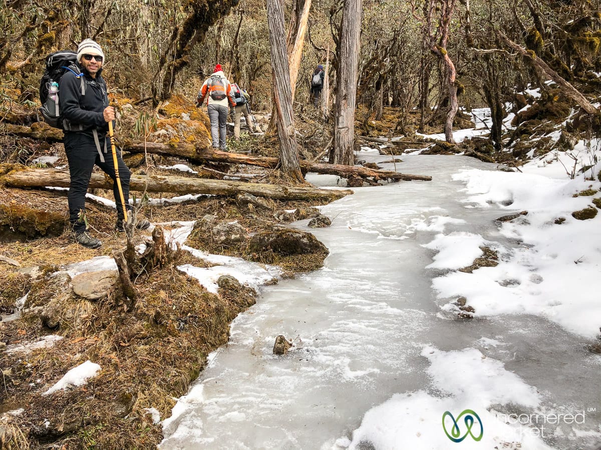 Druk Path Trek in Bhutan, Winter Conditions