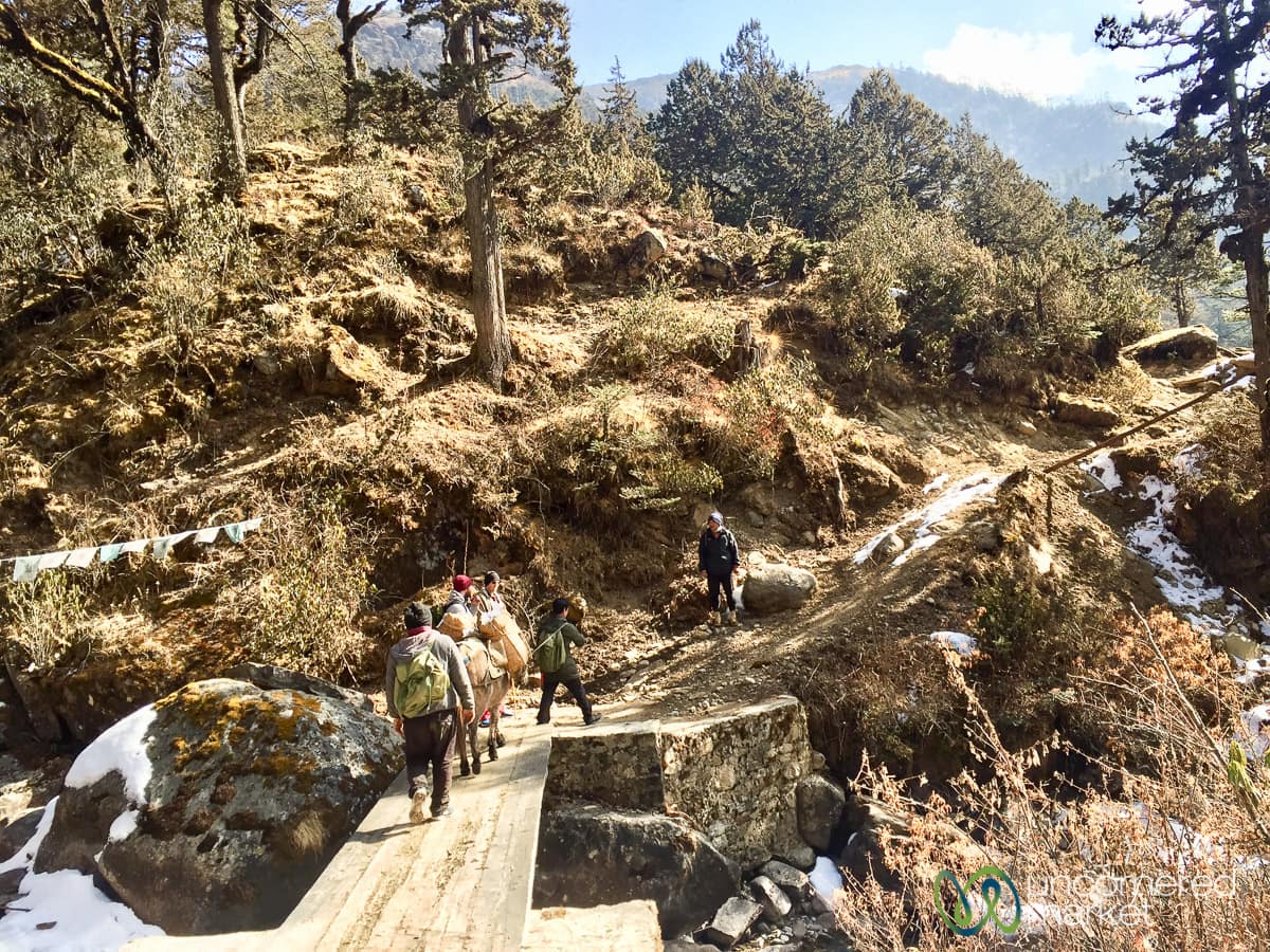 Druk Path Trek, Bhutan -  Day 2