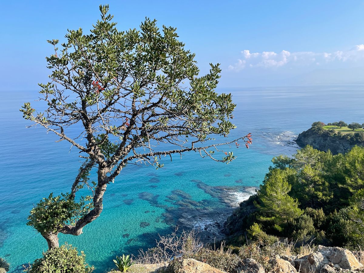 Hiking in Cyprus, coastal view from the Aphrodite Loop hiking trail.