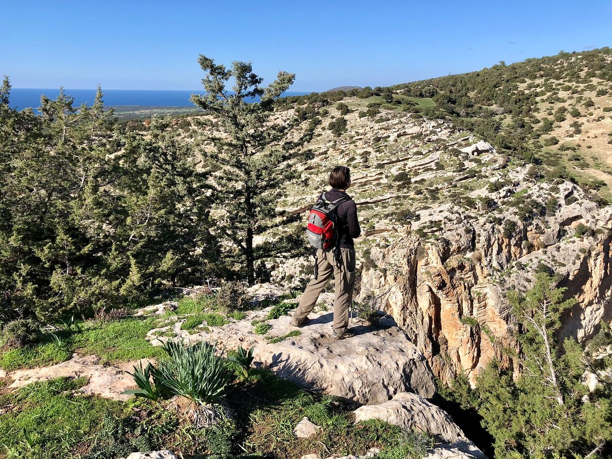 Hiking in Cyprus on the rim of the Avakas Gorge
